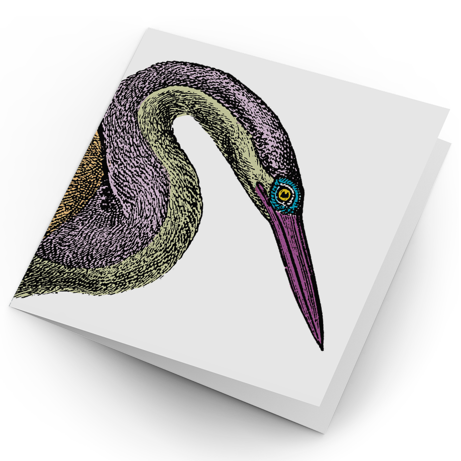 Darter Card